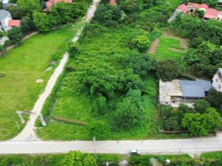 Bán đất trần phú, chương mỹ, hà nội dt 175m2 40m2 thổ cư và 135m2 trồng cây lâu năm, đất vuông đẹp
