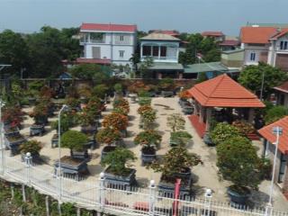 Diện tích khủng  ô tô  kinh doanh  thuý lai  thạch thất  dt1100m2/50m2 mặt kênh* nhỉnh 29tỷ