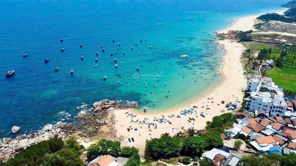 Bán mảnh đất mặt biển 2,4hecta rsx qh tmdv, bám trục chính du lịch, phước đồng, tuy an, phú yên