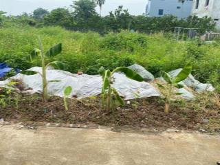 Bán đất tam thuấn  phúc thọ  hà nội  67m²  ô tô vào đất giá chỉ hơn 40 triệu/m²