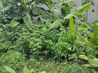 Bán đất phân lô đức thượng  hoài đức  48m2