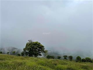 Bán đất farmstay view thung lũng tà đùng, đắk nông