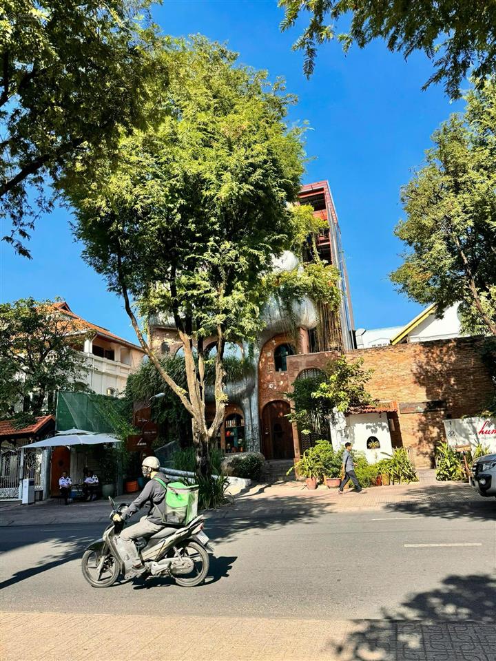 Siêu vị trí võ văn tần,q3dt 15x40mhđt 600tr/thgiá bán 410 tỷ