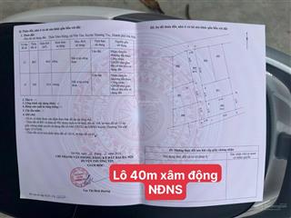 Bán đất tại xã vân tảo, thường tín, hà nội, 46,5 triệu / m2, 40 m2, uy tín