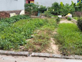 Cơ hội đầu tư giá tốt tiên dược sóc sơn diện tích 87m2 mặt tiền 7.5m, giá 2. x tỉ