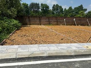 Bán gấp đất phân lô, ô tô tránh gần ddh fpt, sỹ quan lục quân, đh quốc gia, 100 m2, mt 6m, 2.9 tỷ
