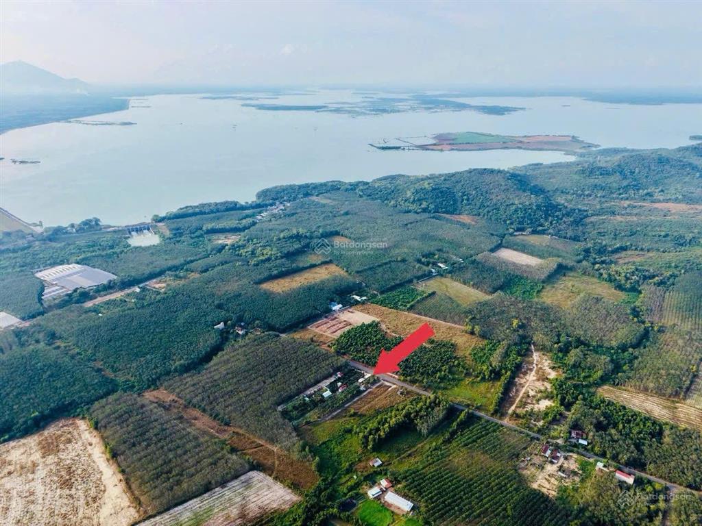 Bán đất đh710 dt 2782m2 giá chỉ 999k /m2 tại dầu tiếng  tp hcm