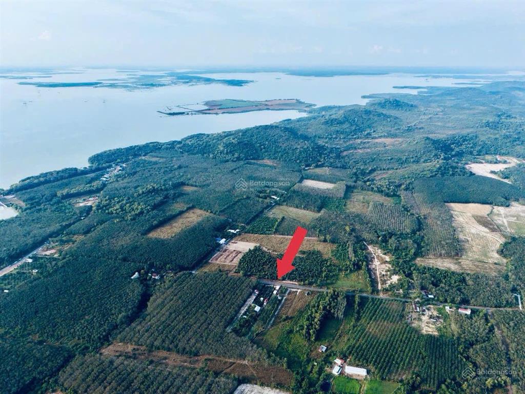 Bán đất đh710 dt 2782m2 giá chỉ 999k /m2 tại dầu tiếng  tp hcm