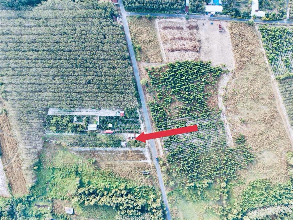 Bán đất đh710 dt 2782m2 giá chỉ 999k /m2 tại dầu tiếng  tp hcm