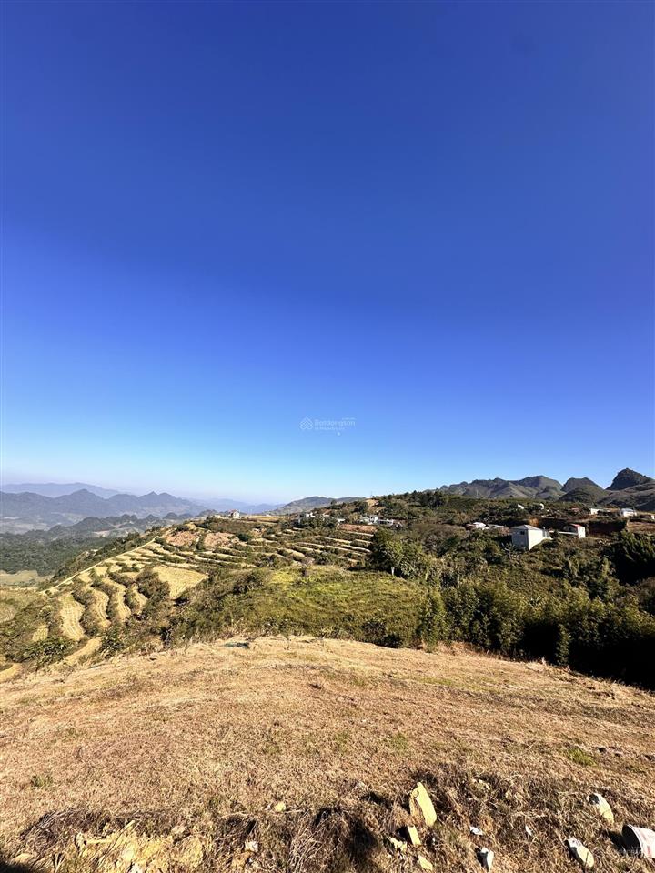 Bán đất du lịch săn mây gần đồi hoa sim suối bon vân hồ mộc châu. 26m mặt đường quốc lộ. sẵn thổ cư