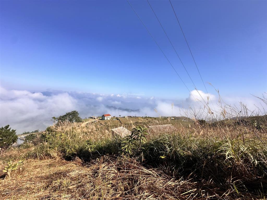 Đất săn mây cạnh khu du lịch đồi hoa sim suối bon. view cực đỉnh. đủ mây lúa thông chè thác