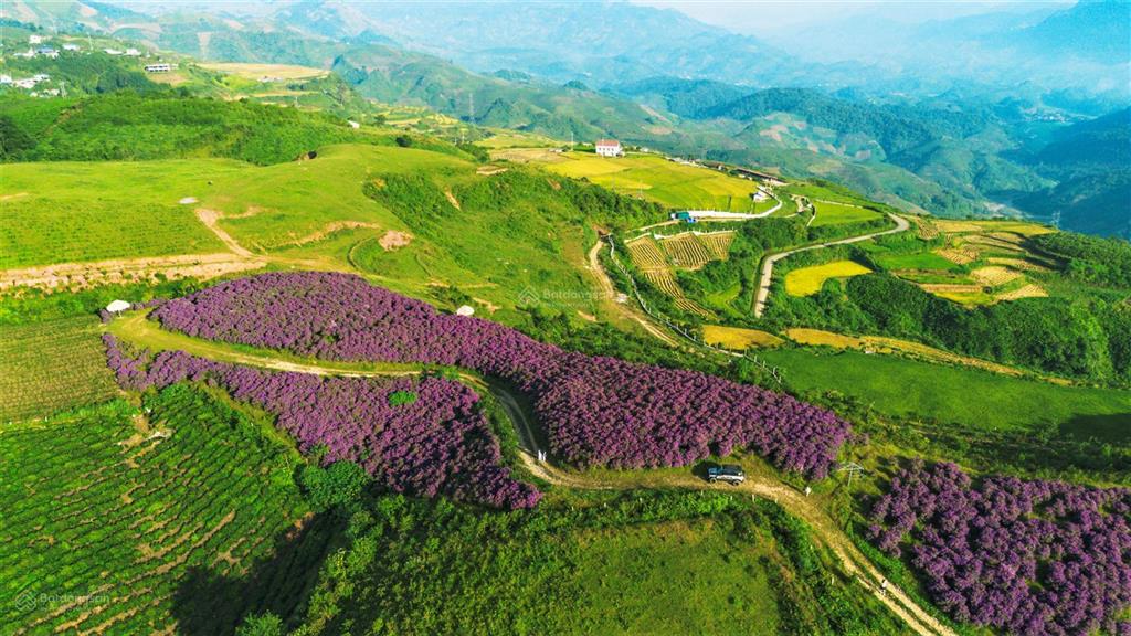 Đất săn mây cạnh khu du lịch đồi hoa sim suối bon. view cực đỉnh. đủ mây lúa thông chè thác