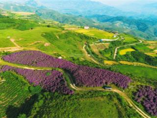 Đất săn mây cạnh khu du lịch đồi hoa sim suối bon . view cực đỉnh . đủ mây lúa thông chè thác