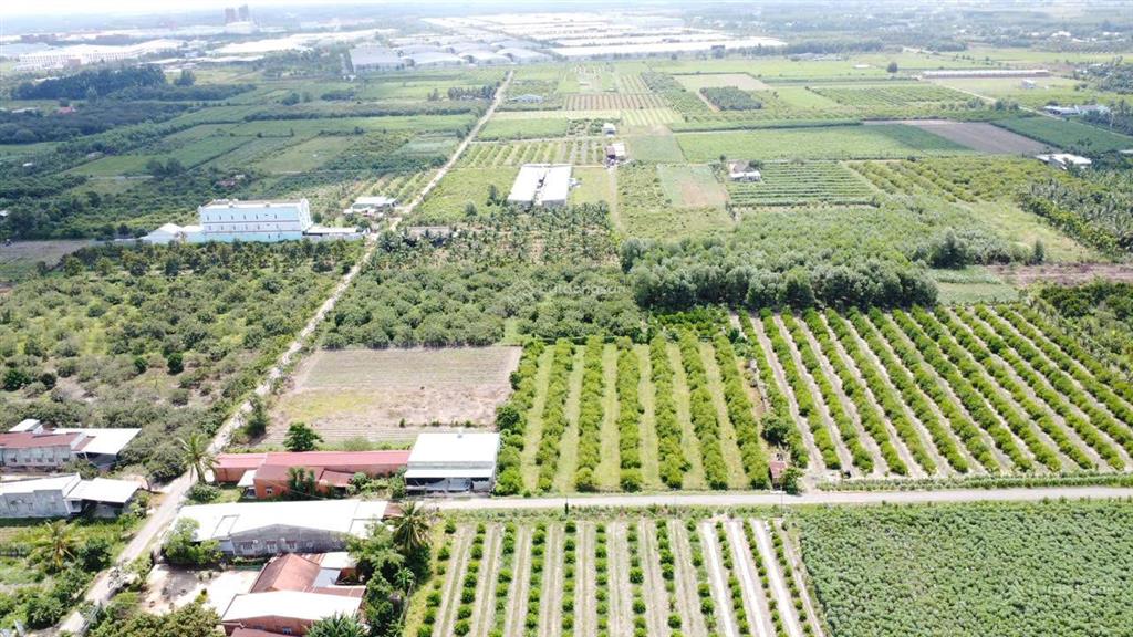 Đất mặt tiền nhựa gần kcn phước đông 4 lô liền kề cực đẹp