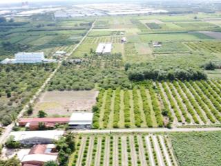 Đất mặt tiền nhựa gần kcn phước đông  4 lô liền kề cực đẹp
