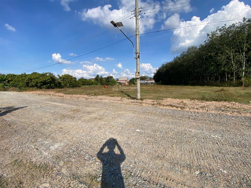 750 triệu 1.117m² gần kcn hiệp thạnh, đất phủ hồng