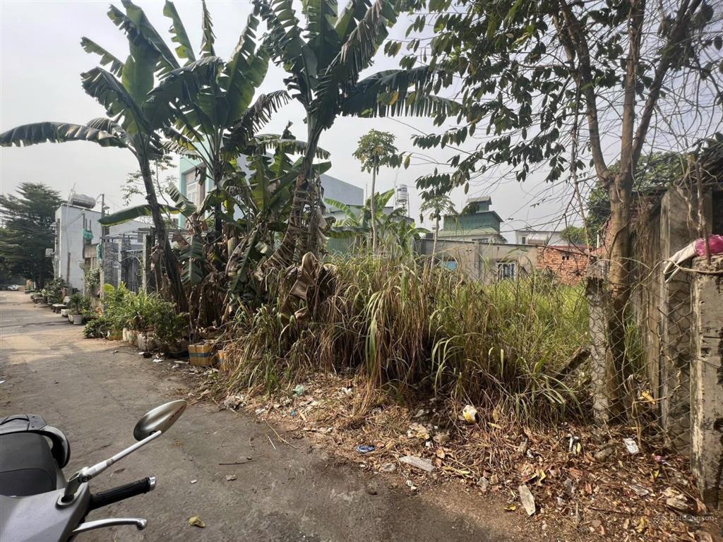 Bán đất 81m2, hxh, nguyễn xiển, quận 9, gần vinhomes giá nhỉnh 3 tỷ