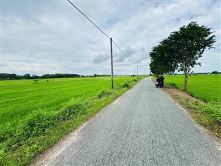 Đất mt đường nhựa củ chi 2462m2  ngang 82m qh đất ở  giá chỉ 8.7 tỷ