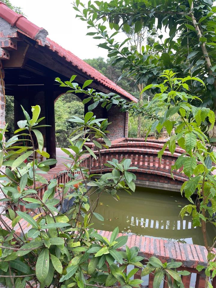 Bán đất 1400m2 tại đường 446, xã đông xuân, quốc oai, hà nội, chỉ với 2,5 triệu