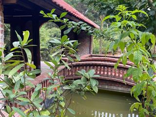 Bán đất 1400m2 tại đường 446, xã đông xuân, quốc oai, hà nội, chỉ với 2,5 triệu