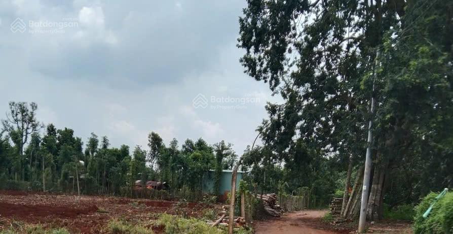 Bán đất mặt tiền đường nhựa khu dân cư đông view nghỉ dưỡng bàu chinh