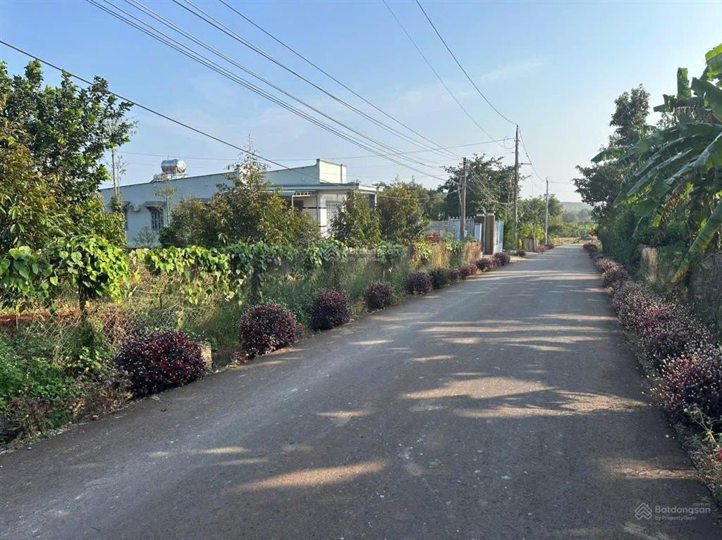 Gia đình cần tiền bán 4266 mét vuông đất xã kim long, thành phố hồ chí minh