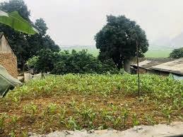 Đất đẹp gần hà đông đầu tư sinh lời rõ ràng 100m² chỉ 1.7 tỷ
