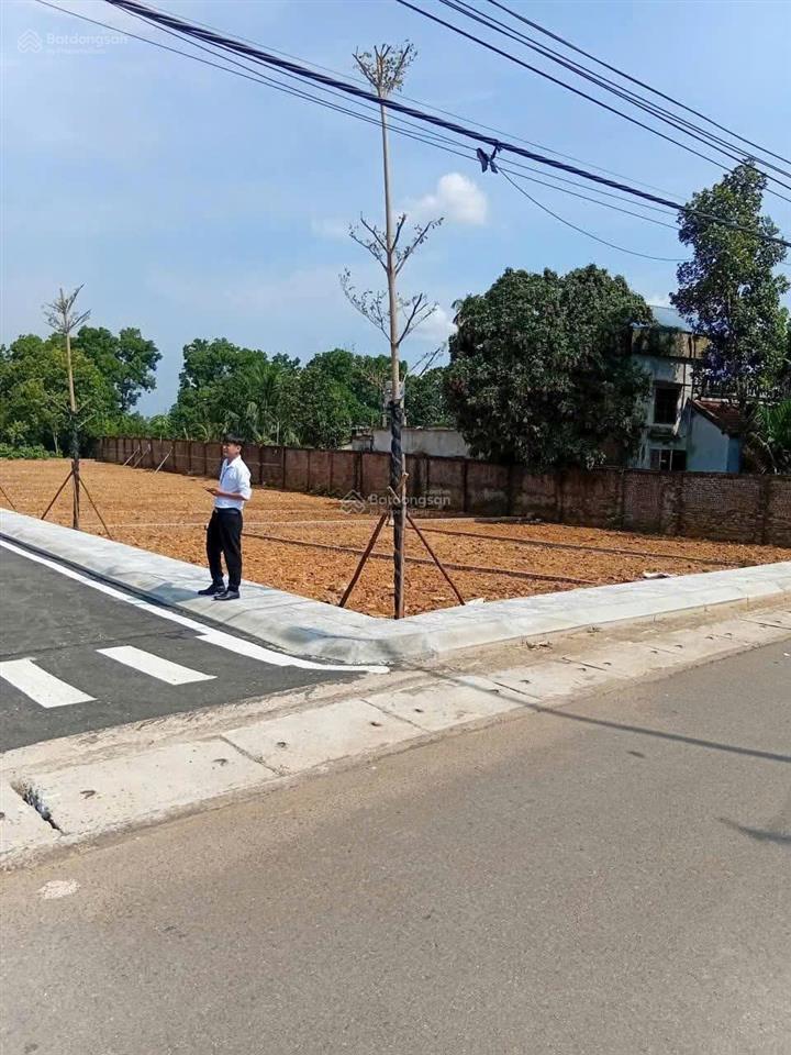 Mở bán 20 lô siêu phẩm đẹp long lanh