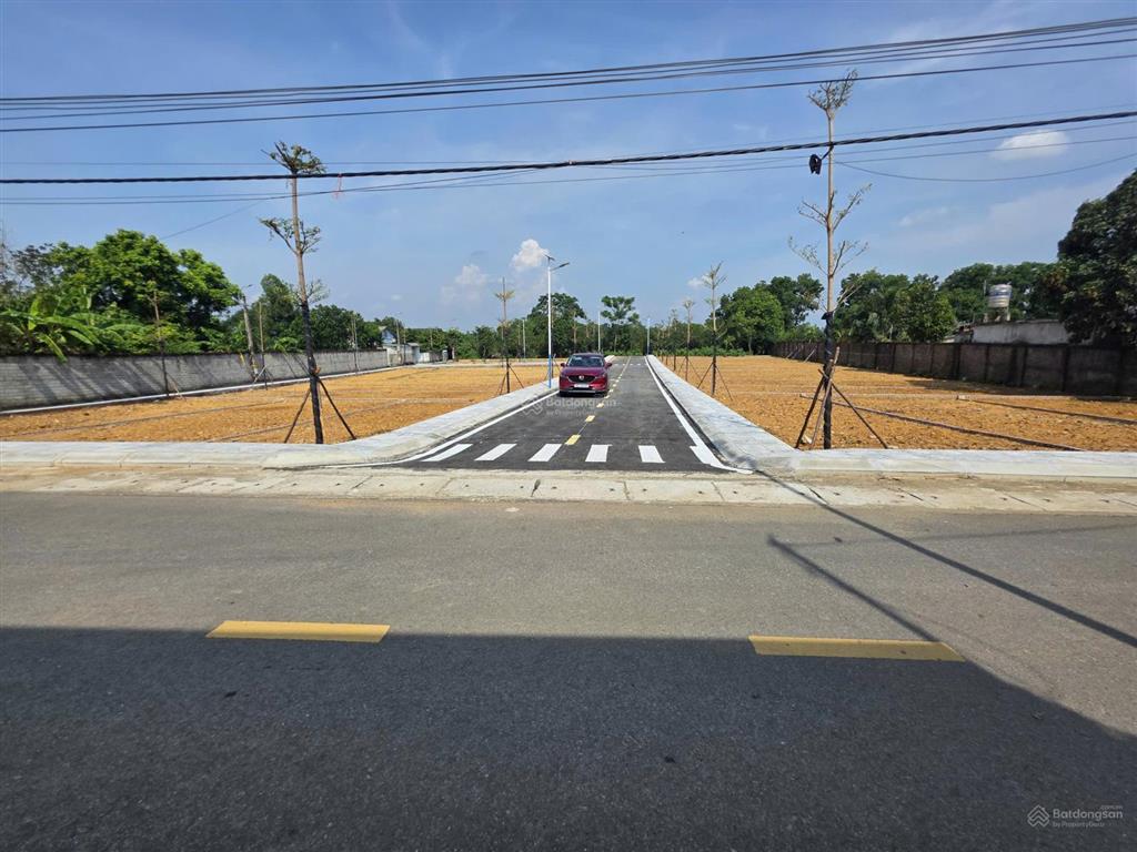 So sánh giá rẻ nhất khu vực la gián cổ đông sơn tây