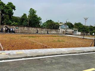 Đất phúc lộc, bước chân ra là chợ, trường, tiện ích ngập tràn
