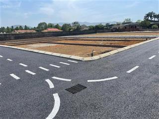 Mỏ vàng mới lộ thiên tại hòa lạc la gián giá rẻ nhất khu vực
