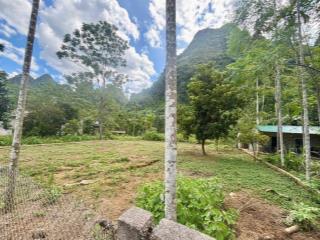 Siêu phẩm nghỉ dưỡng 500m2 chỉ hơn 2 tỷ thanh sơn, lương sơn