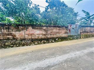 Siêu phẩm 270m có tường bao, trồng full bưởi thủy xuân tiên, xuân mai