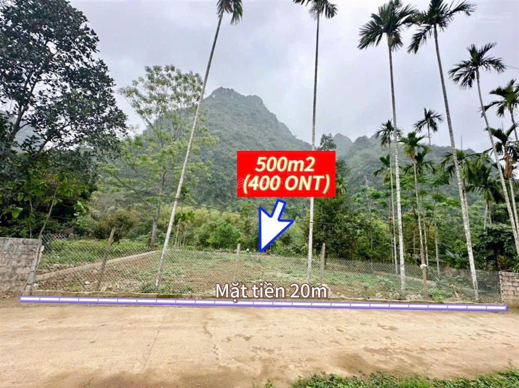 Bán đất 500m2 trung tâm thanh sơn 400m2 thổ cư sẵn sổ mặt tiền 20m ô tô vào tận đất