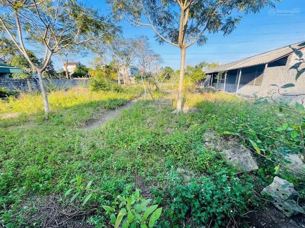 Đất 845m2 có 500m2 thổ cư mt 20m gần ql12b cách tt hàng trạm 1km