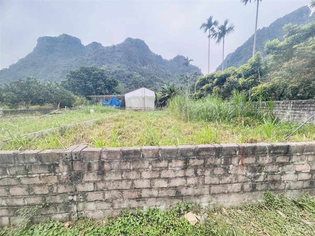 Bán lô đất 119m full thổ cư xã thanh sơn, huyện lương sơn, hòa bình giá 880 triệu