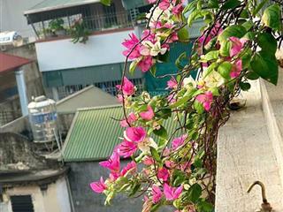 Aeon! tư đình long biên, hơn 6 tỷ nhà đẹp 5 tầng 3pn, ngõ rộng 20m ra oto