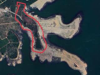 Kẹt tiền bán gấp 3ha cà phê view 360 độ biển hồ kroong đak hà kontum giá 4,5 tỷ