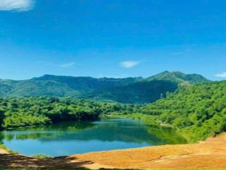 Chính chủ bán mảnh đất view hồ đập đom 2150m có 515m thổ  làm homestay nghỉ dưỡng giá 12 tỷ