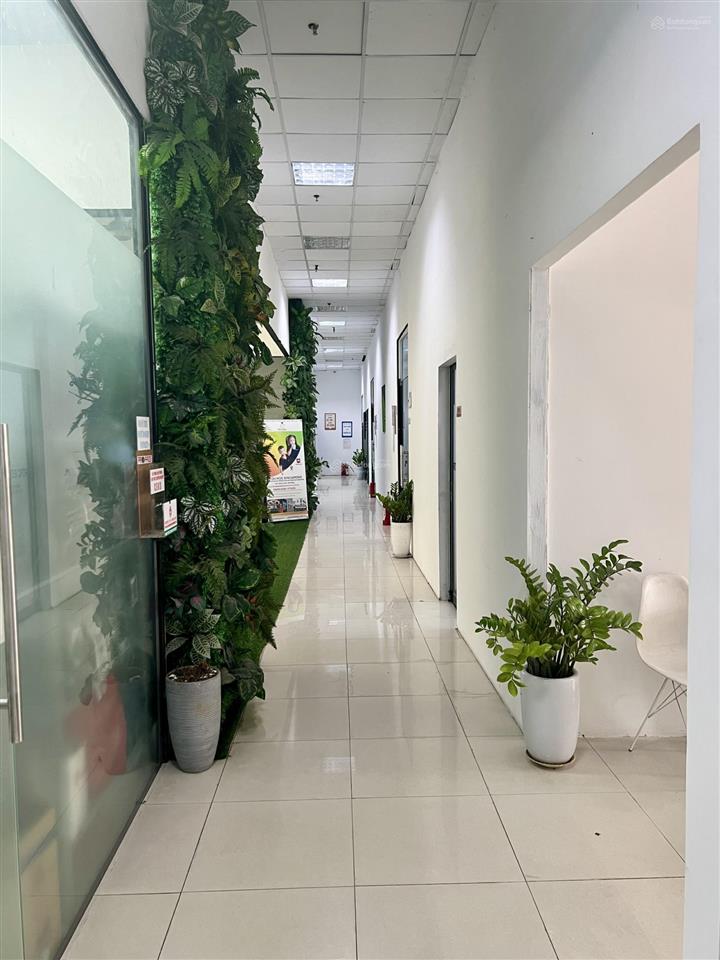 Cho thuê văn phòng topaz city, 6.8 triệu vnd, 20 m2, q8, hcm