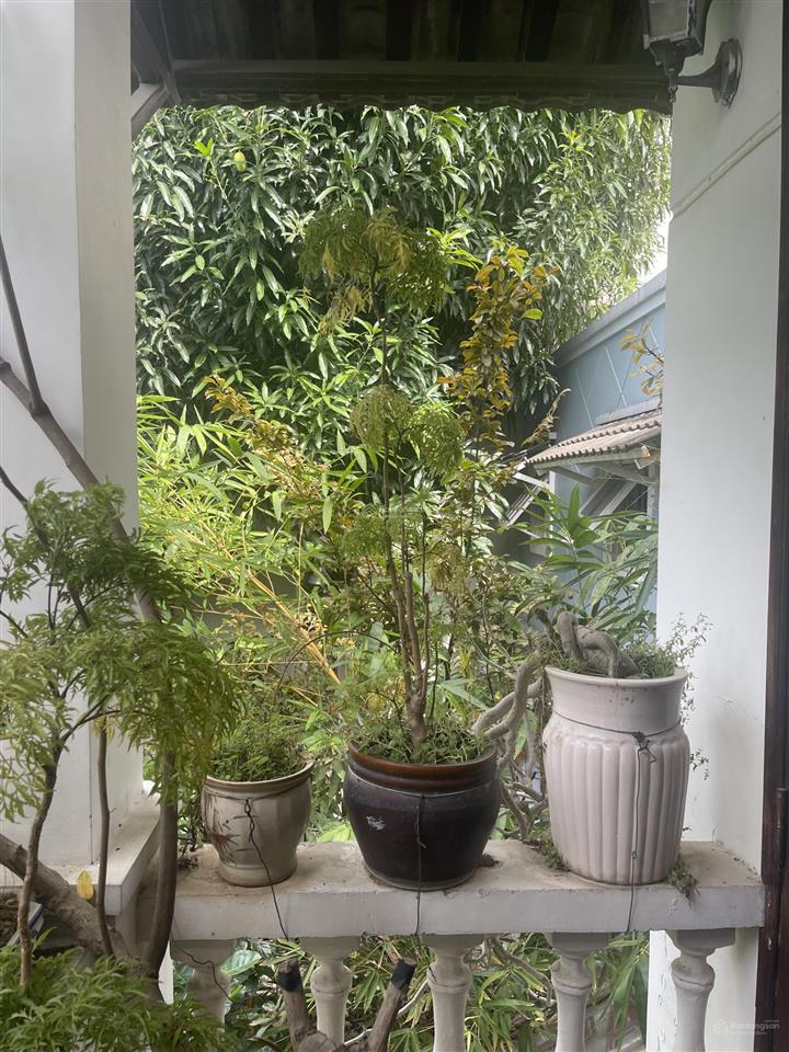 Cần bán gấp nhà đẹp đường trần khánh dư
khu vực dân trí cao, nhiều căn hộ người tây sinh sống.