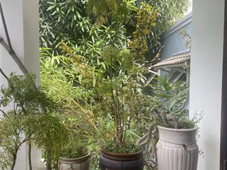 Cần bán gấp nhà đẹp đường trần khánh dư
khu vực dân trí cao, nhiều căn hộ người tây sinh sống.