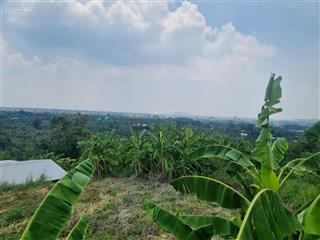 Bán đất vườn (chính chủ) view đồi
