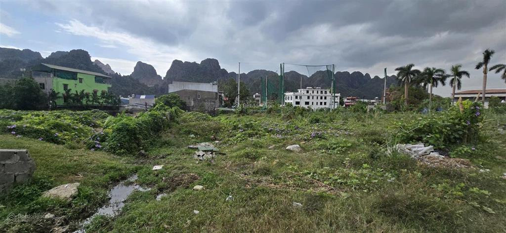 Bán đất tại quang hanh, giá thỏa thuận, 2000m2, mặt tiền 90m, ngõ rộng 6m