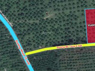 Đất vườn 1132m², mặt tiền bê tông, cách sông la ngà vài trăm mét chỉ 650 triệu