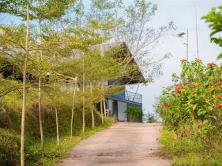 Bán đất vườn bưởi "vàng" trong khu farmstay tại thung nai, hòa bình  sẵn sàng kinh doanh homestay
