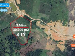 Đất vườn 3 mẫu (30.000 m2) giá 3,2 tỷ (107.000 đ / m2)  păng tiêng  phi tô  lâm hà  lâm đồng