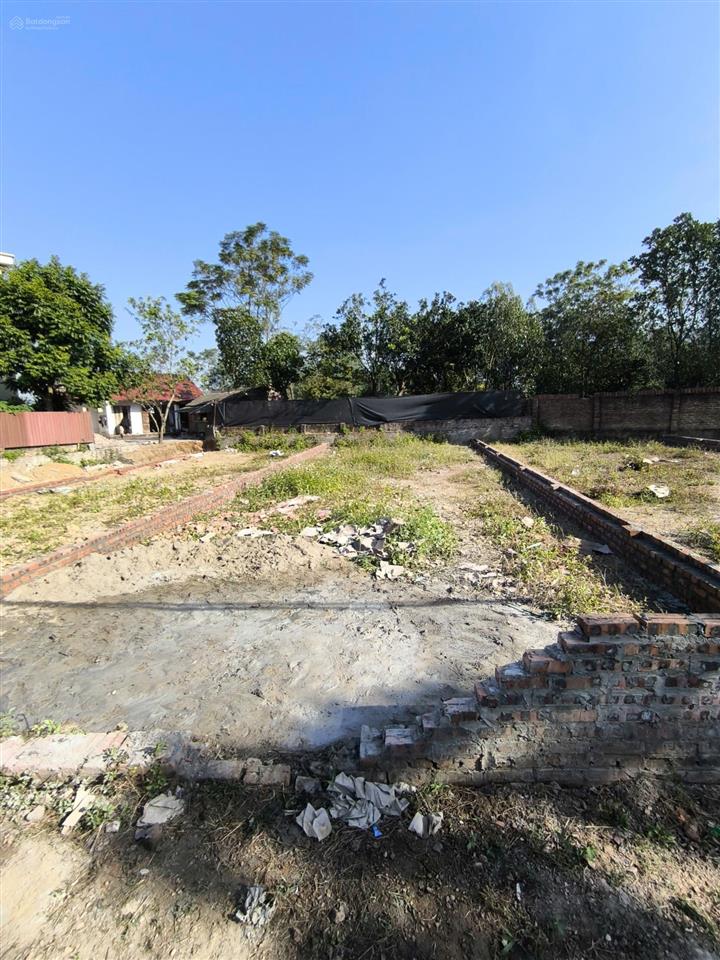 Bán đất tại thái lai, minh trí, sóc sơn, hà nội, 19 triệu/m2, dt 98.9m2