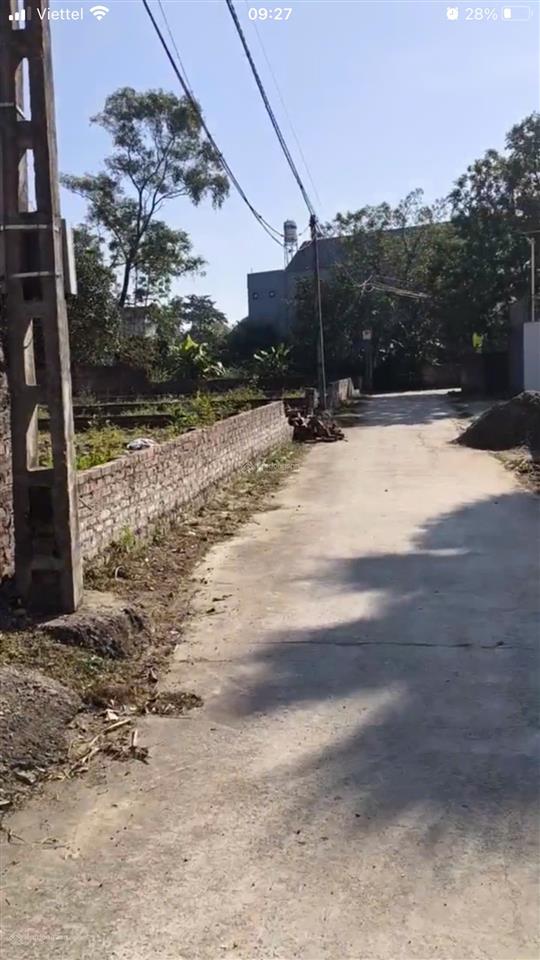 Bán đất tại thái lai, minh trí, sóc sơn, hà nội, 19 triệu/m2, dt 98.9m2