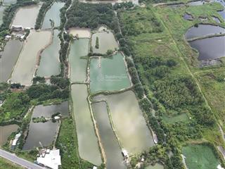 Bán 10.000m² (54m x 185m) đất mặt tiền đường nguyễn bình, xã nhơn đức, huyện nhà bè, tp.hcm